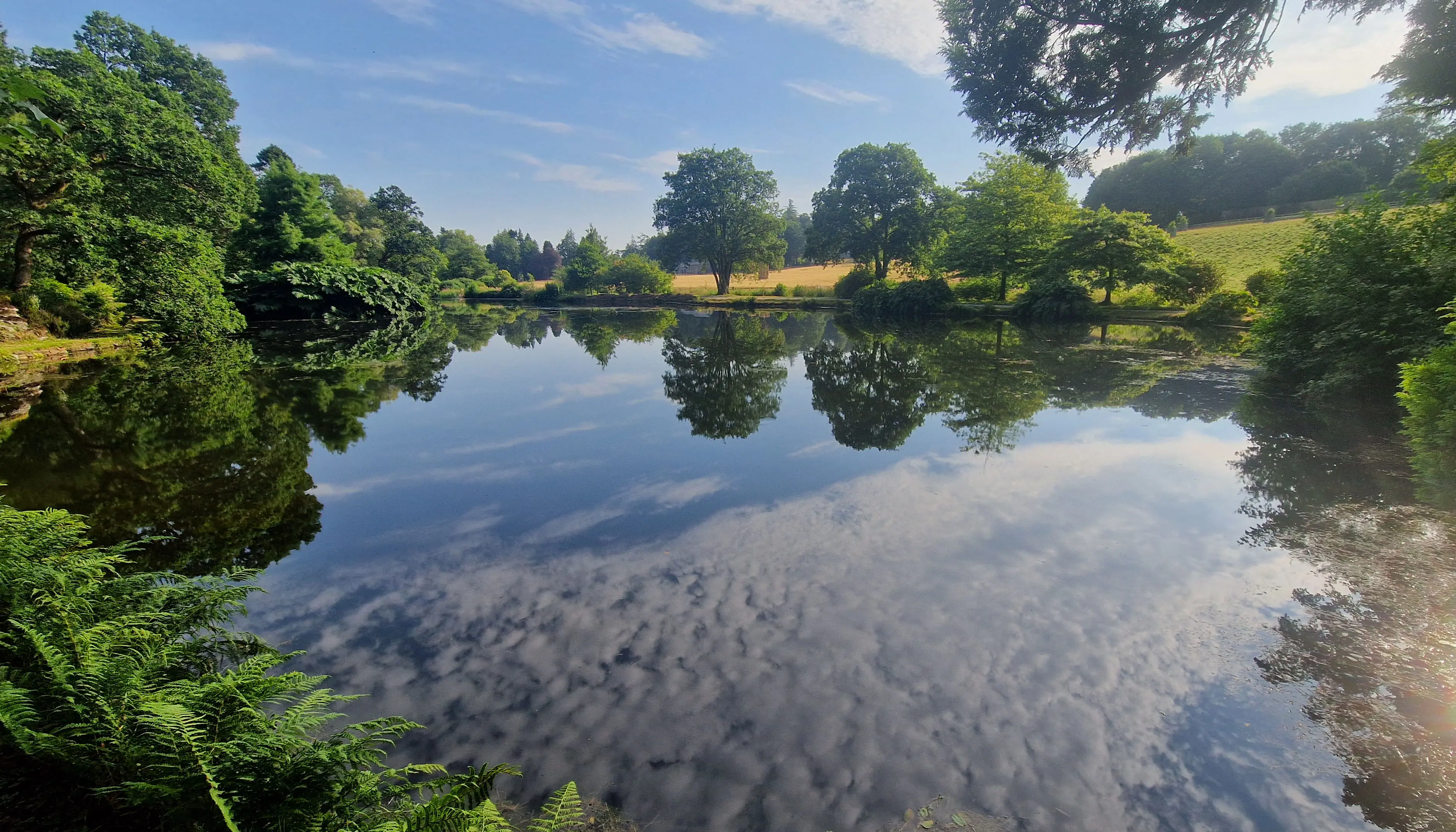 Aquaclear Water Management