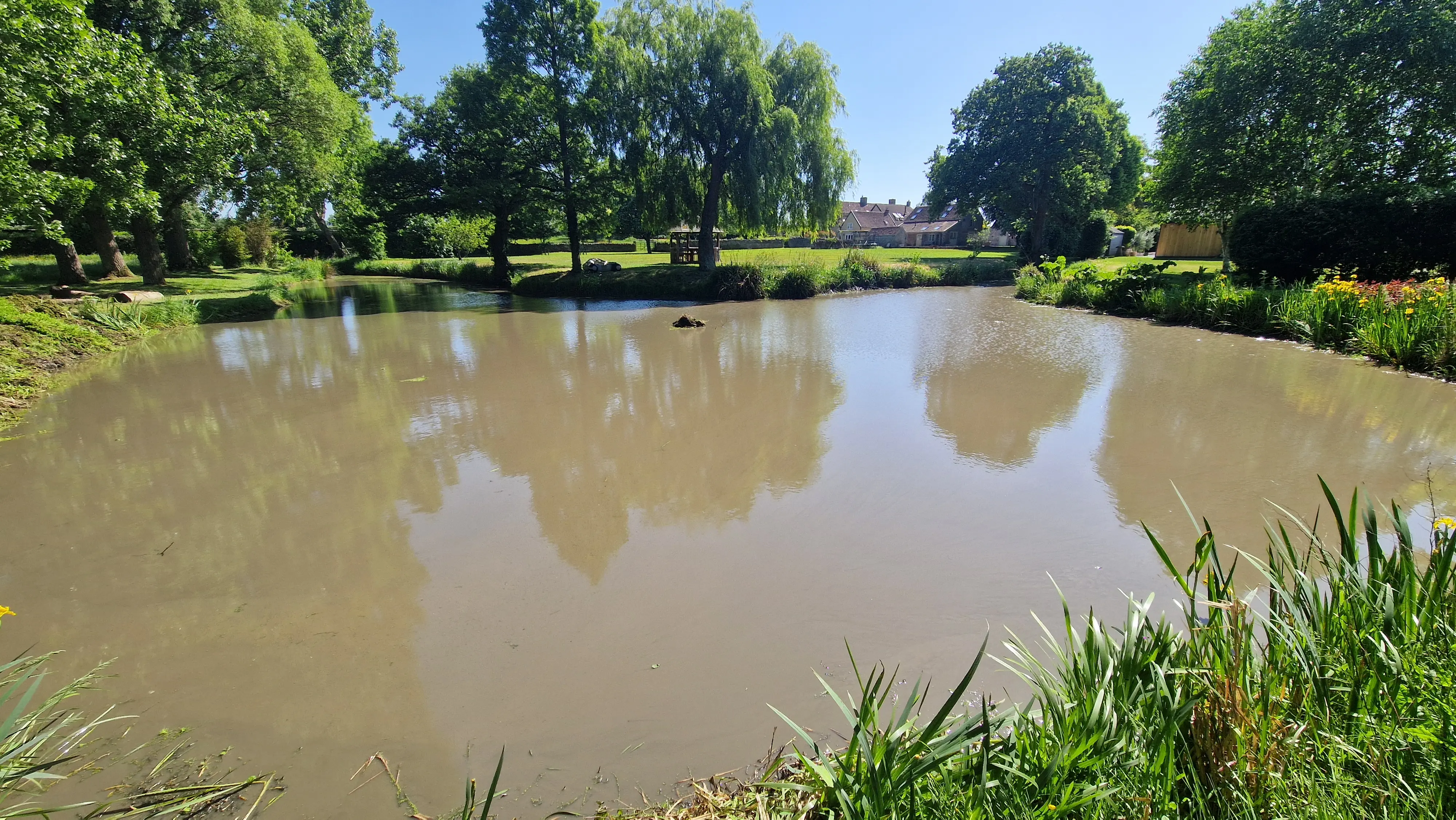 Garden Pond After